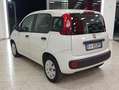 Fiat Panda Panda III 2016 1.2 Easy 69cv Blanc - thumbnail 4