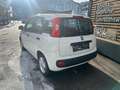 Fiat Panda Panda 1,2 69 Pop Pop Weiß - thumbnail 7