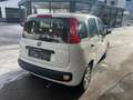 Fiat Panda Panda 1,2 69 Pop Pop Weiß - thumbnail 5