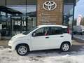 Fiat Panda Panda 1,2 69 Pop Pop Weiß - thumbnail 1