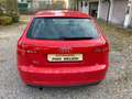 Audi A3 Sportback 1.6 Attraction HAGELSCHADEN Rojo - thumbnail 6