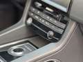 Jaguar F-Pace Prestige AWD Pano Leder Gris - thumbnail 14