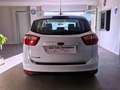 Ford C-Max 1.6 120 CV Plus Gpl Bianco - thumbnail 4