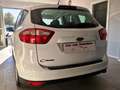 Ford C-Max 1.6 120 CV Plus Gpl Bianco - thumbnail 5