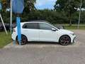 Volkswagen Golf 2.0 TSI GTI+MATRIX+AHK+PANO+NAVI+19 Weiß - thumbnail 8