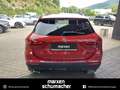 Mercedes-Benz GLA 220 GLA 220 d 4M Night+AHK+Kamera+Multibeam+AdvSound Rouge - thumbnail 6
