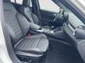 Alfa Romeo Giulia Tributo Italiano 2.2D Technologie-Paket Weiß - thumbnail 16