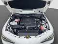 Alfa Romeo Giulia Tributo Italiano 2.2D Technologie-Paket Weiß - thumbnail 19