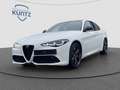 Alfa Romeo Giulia Tributo Italiano 2.2D Technologie-Paket Белый - thumbnail 1