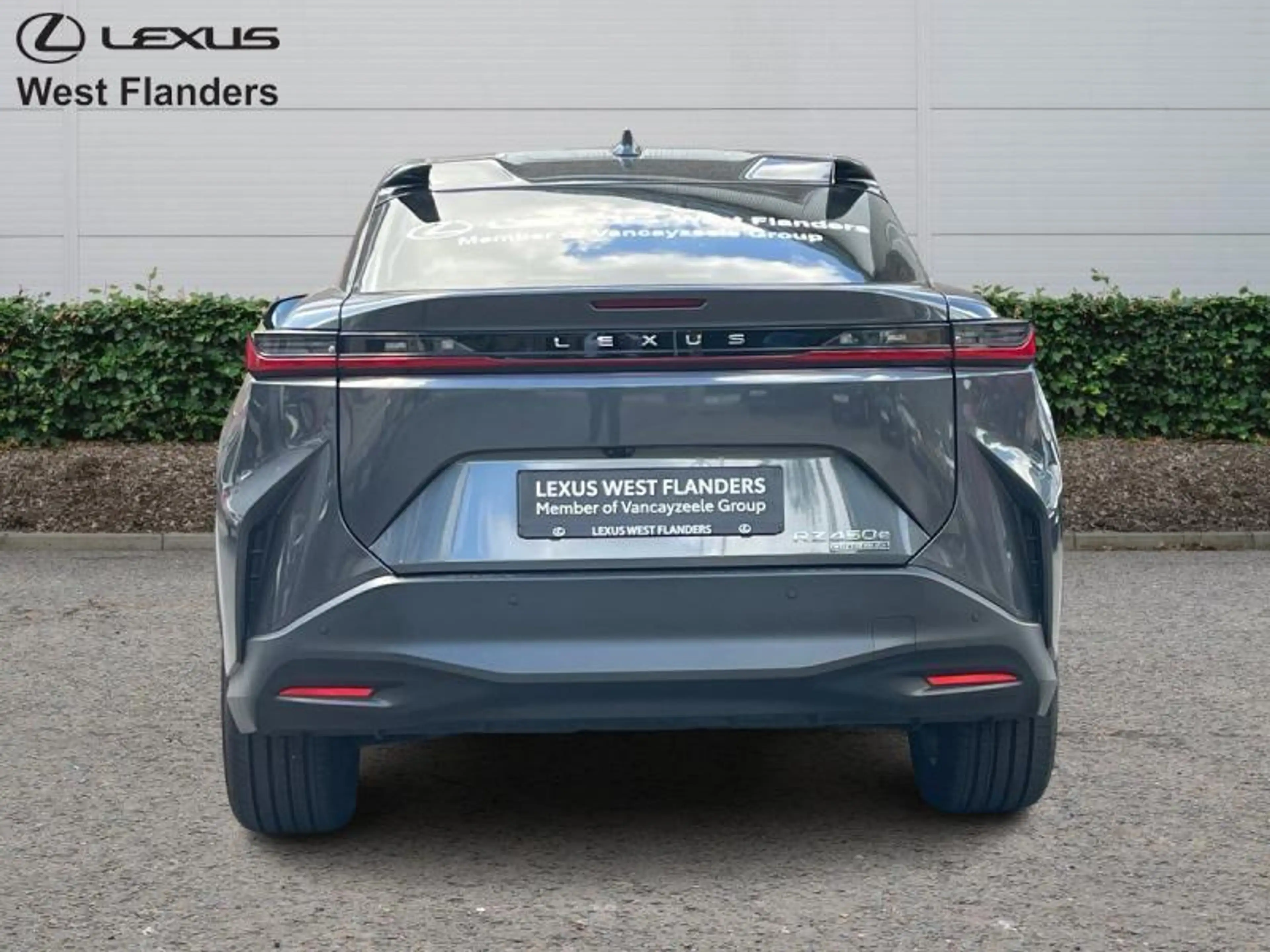 Lexus RZ Executive Line + PANOROOF — photo 6