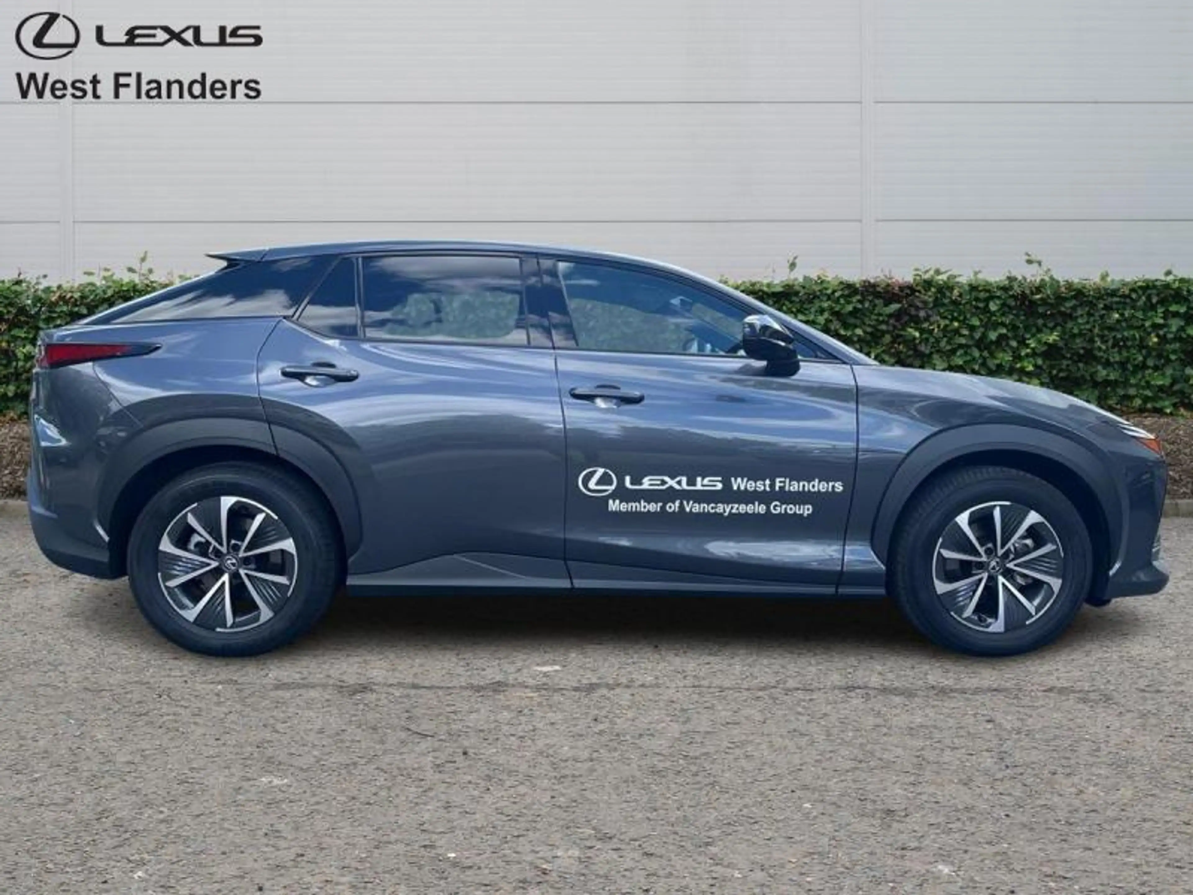 Lexus RZ Executive Line + PANOROOF — photo 3