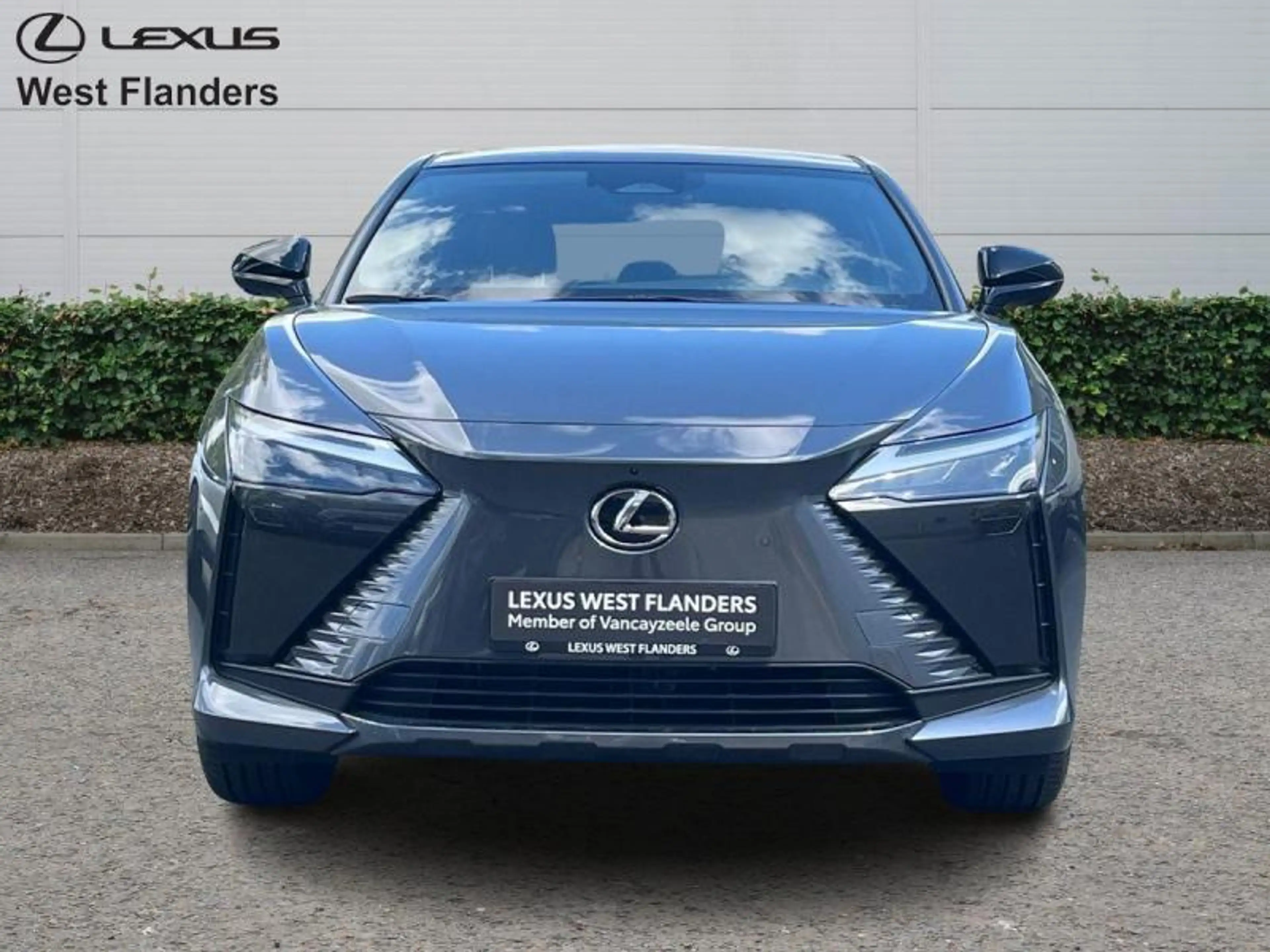 Lexus RZ Executive Line + PANOROOF — photo 2