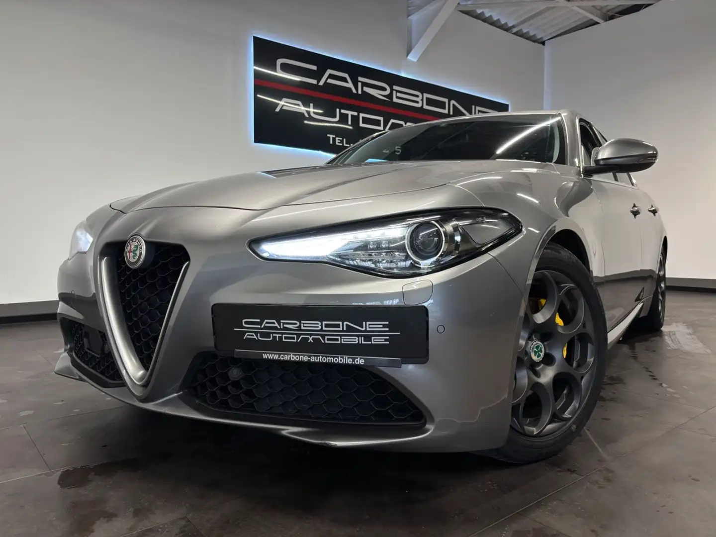 Alfa Romeo Giulia 2.0 Turbo Super **Leder+Winter** Grau - 1