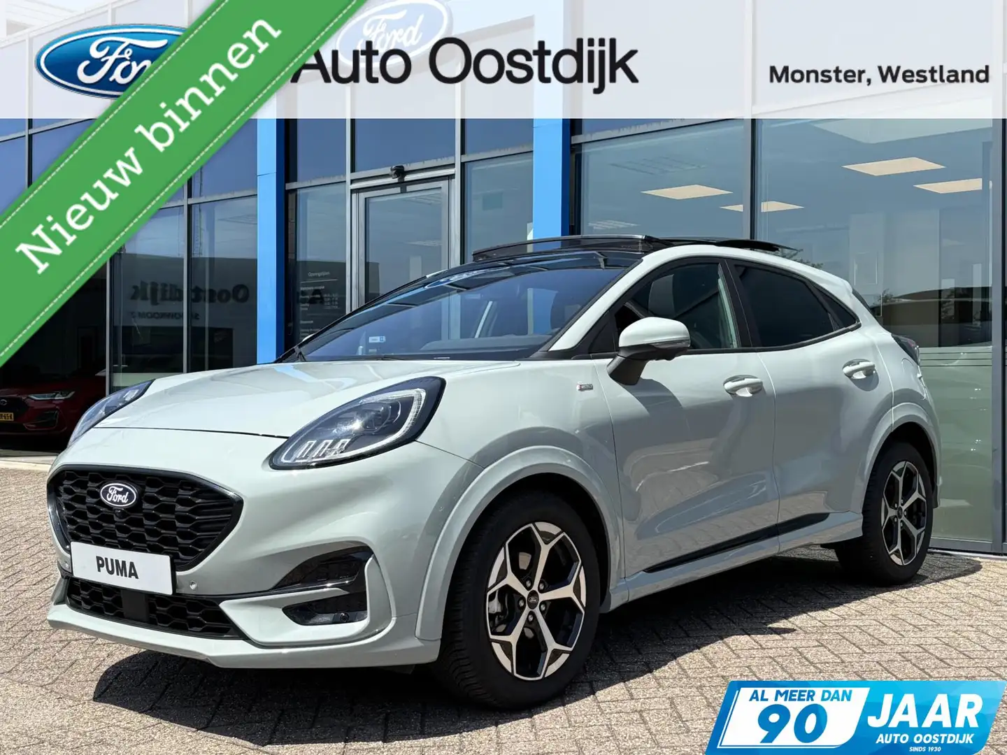 Ford Puma 1.0 EcoBoost Hybrid ST-Line 125PK Automaat NIEUW M Grijs - 1