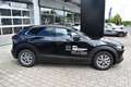 Mazda CX-30 ``Homura`` *Automatik* Schwarz - thumbnail 9