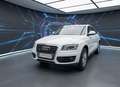 Audi Q5 Q5 2,0 TDI quattro DPF Weiß - thumbnail 1