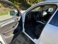 Audi Q5 Q5 2,0 TDI quattro DPF Weiß - thumbnail 6