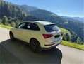 Audi Q5 Q5 2,0 TDI quattro DPF Weiß - thumbnail 5