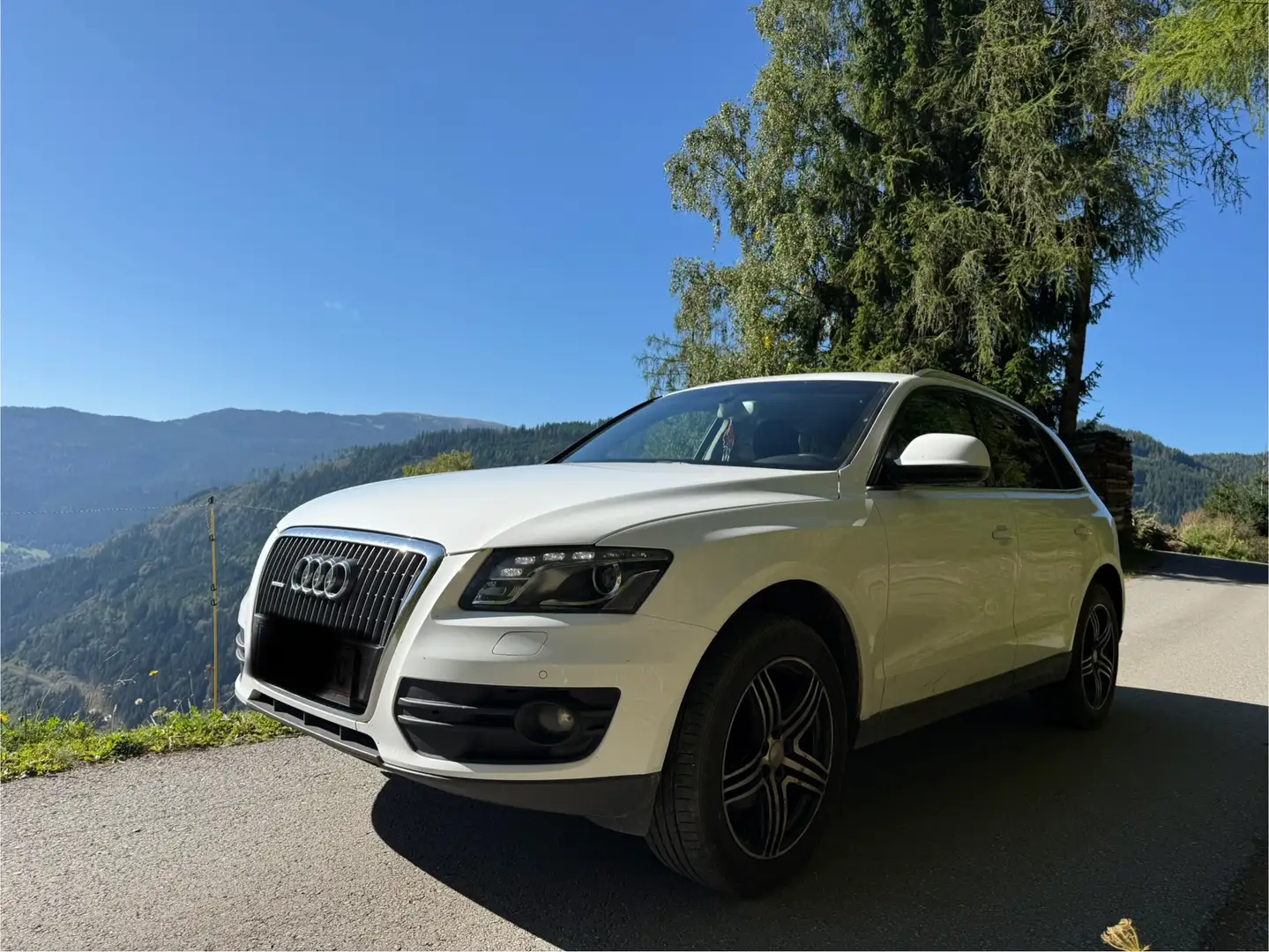 Audi Q5 Q5 2,0 TDI quattro DPF Weiß - 2