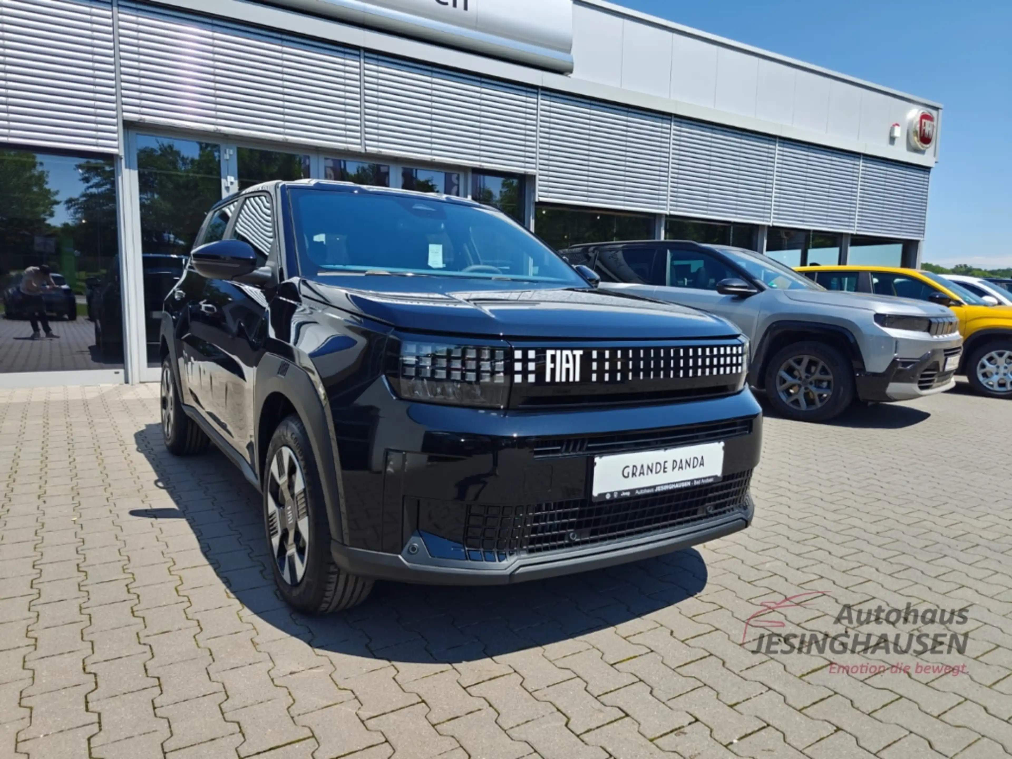 Fiat Grande Panda Business Edition +RFK+ Apple Carpaly+Navi+Digitale — photo 3