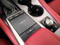 Lexus RX 450h F Sport - thumbnail 31
