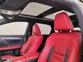 Lexus RX 450h F Sport - thumbnail 21