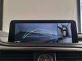 Lexus RX 450h F Sport - thumbnail 28