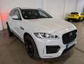 Jaguar F-Pace F-PACE R-Sport AWD "Kundenauftrag" Weiß - thumbnail 6
