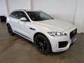 Jaguar F-Pace F-PACE R-Sport AWD "Kundenauftrag" Weiß - thumbnail 5