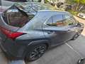 Lexus UX 200 UX 2019 250h 2.0 Premium 2wd cvt my20 Grau - thumbnail 3