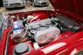 Triumph TR6 Rouge - thumbnail 30