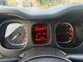Fiat Panda 1.0 FireFly S&S Hybrid 5 Posti,km 19674 Nero - thumbnail 7
