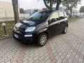 Fiat Panda 1.0 FireFly S&S Hybrid 5 Posti,km 19674 Nero - thumbnail 2