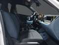 Fiat Grande Panda ICON 74kW (100cv) Blanco - thumbnail 9
