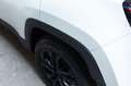 Jeep Compass Compass 1.6 mjt Night Eagle 2wd 130cv Weiß - thumbnail 17