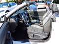 Volkswagen T-Roc Cabriolet R-Line 1.5 TSI OPF DSG NAVI/SITZHZ/GANZJ White - thumbnail 12