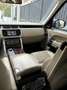 Land Rover Range Rover Range Rover 3.0 tdV6 HSE auto my16 E6 Grigio - thumbnail 7