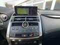 Lexus NX 300 NX300h Executive Line Klimaautomatik Leder Grau - thumbnail 12
