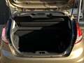 Ford Fiesta 1.0 EcoBoost Titanium | Voorruitverwarming | Cruis Brun - thumbnail 9