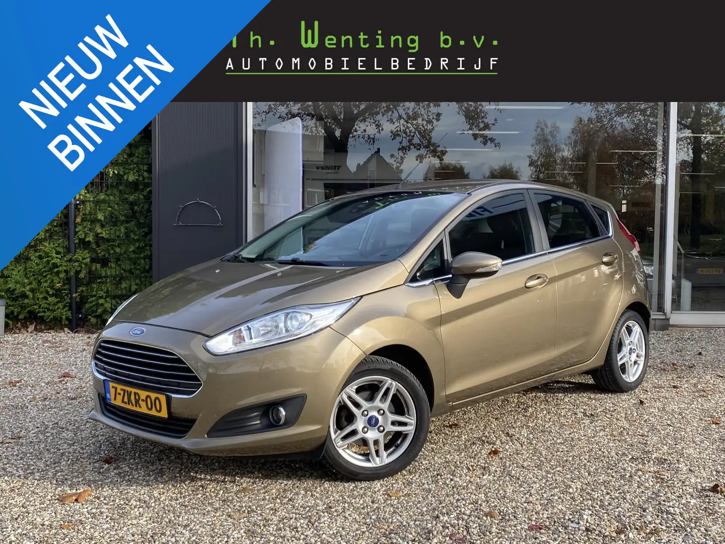 Ford Fiesta 1.0 EcoBoost Titanium | Voorruitverwarming | Cruis Bruin - 1