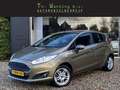 Ford Fiesta 1.0 EcoBoost Titanium | Voorruitverwarming | Cruis Brun - thumbnail 1