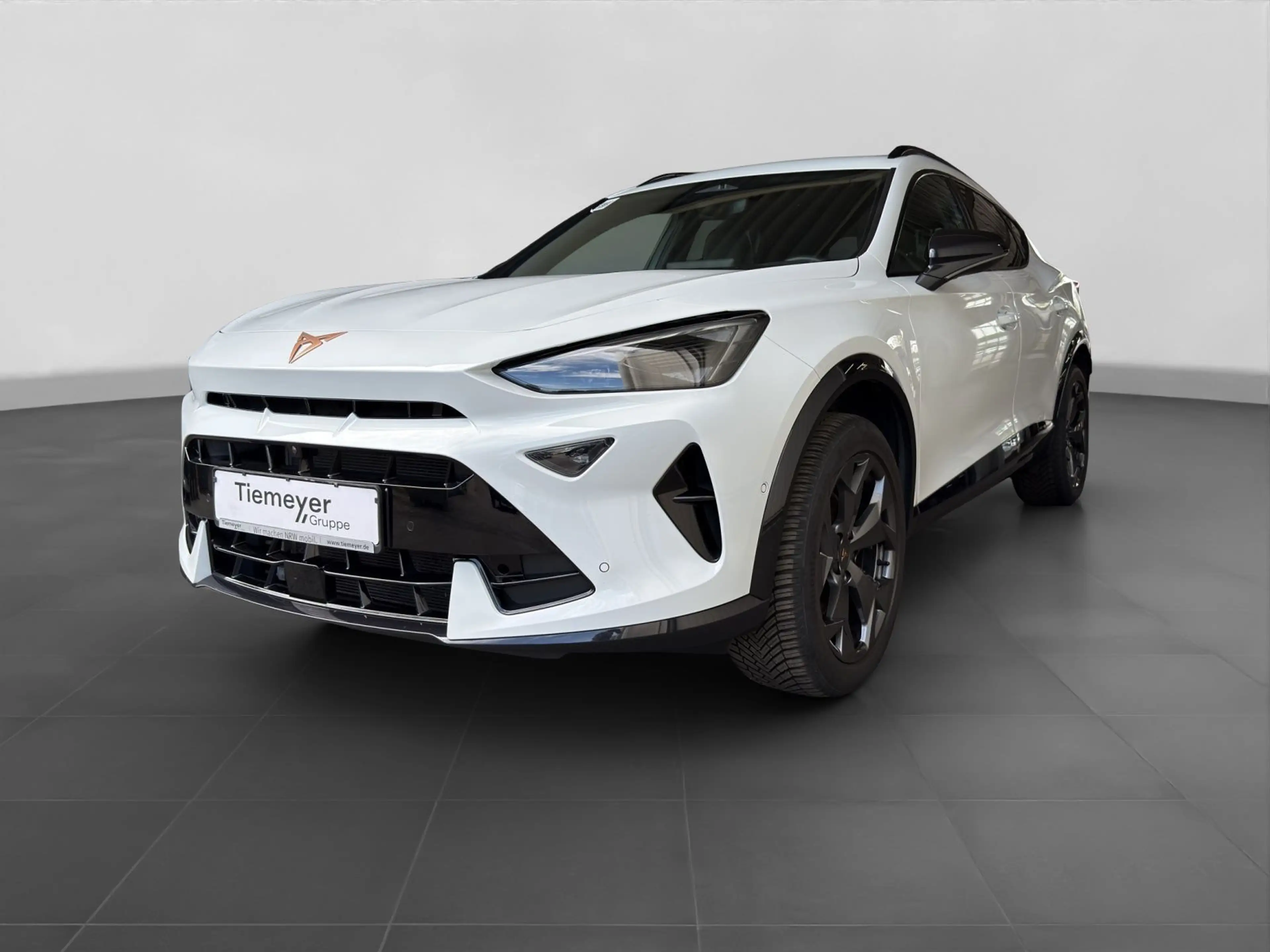 CUPRA Formentor 2.0 TDI DSG NAVI ACC SH PDC+ GJR — photo 2