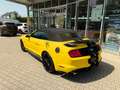 Ford Mustang DAB ACC STZLFT LANEASS KEYLESS Gelb - thumbnail 12
