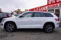 Skoda Kodiaq 2.0 TDI Sportline 4x4 DSG Kamera Navi AHK Blanc - thumbnail 3