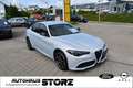 Alfa Romeo Giulia Veloce Q4 |ACC|PREMIUM-PAKET|CARPLAY|ACC|KAMERA| - thumbnail 2