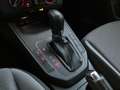 SEAT Ibiza 1.6 tdi business 95cv dsg - thumbnail 13