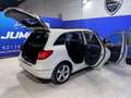 Mercedes-Benz B 180 180CDI BE Sport Blanco - thumbnail 12