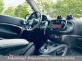smart forTwo Cabrio Passion AUTOM/KLIMA/SITZH/ARMLEHNE siva - thumbnail 10