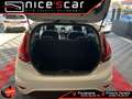 Ford Fiesta Fiesta 1.4 TDCi 70CV 5 porte Titanium Blanc - thumbnail 12
