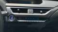 Lexus UX 250h Premium 4WD - thumbnail 18